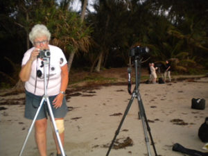 Tora on Port Douglas Beach